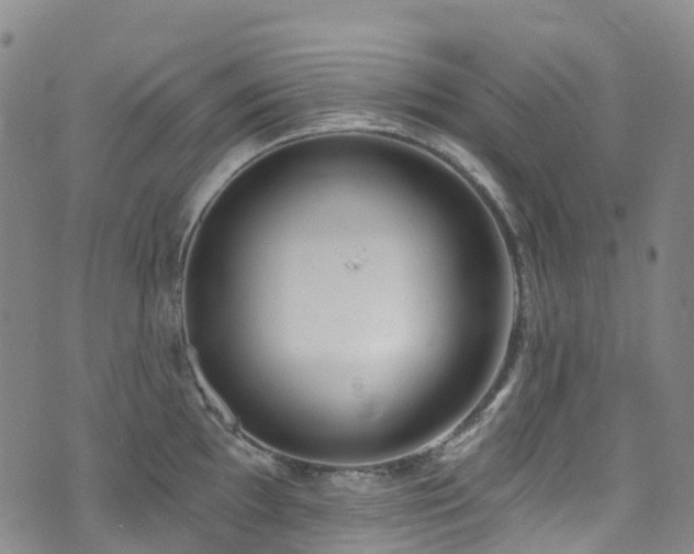 X0000074941097200609011109