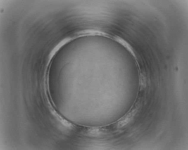 X0000074941098200609011109