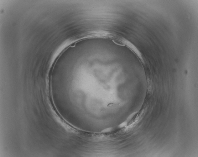 X0000074941099200609011109