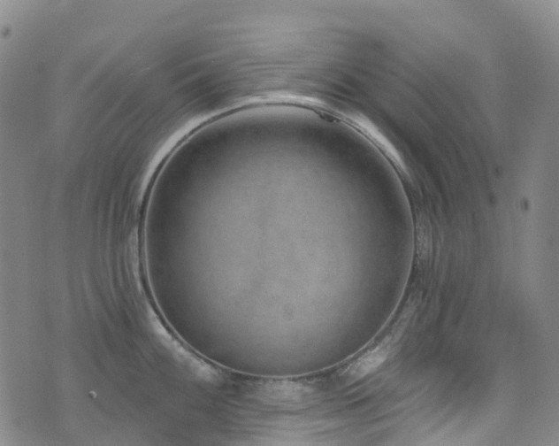 X0000074941100200609011109