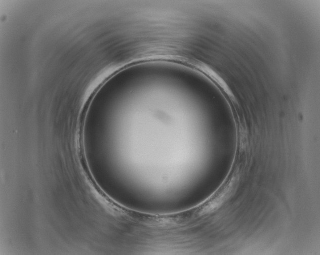 X0000074941101200609011109