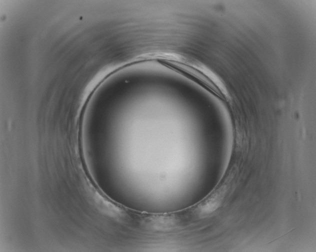 X0000074941102200609011109