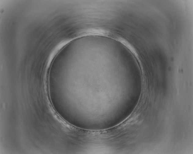 X0000074941104200609011109