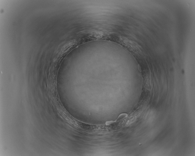 X0000074941105200609011108