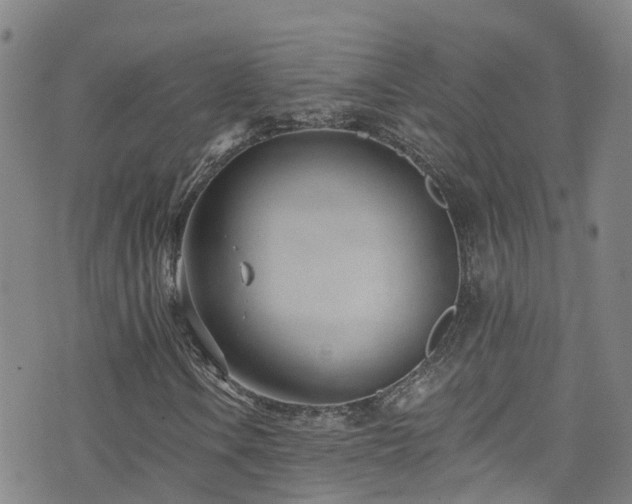 X0000074941106200609011108