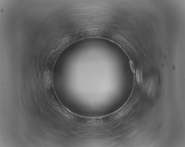 X0000074941107200609011108