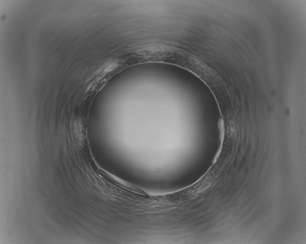 X0000074941108200609011108