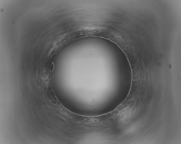 X0000074941109200609011108