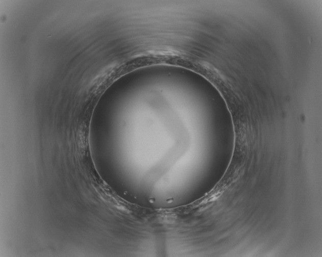 X0000074941110200609011108