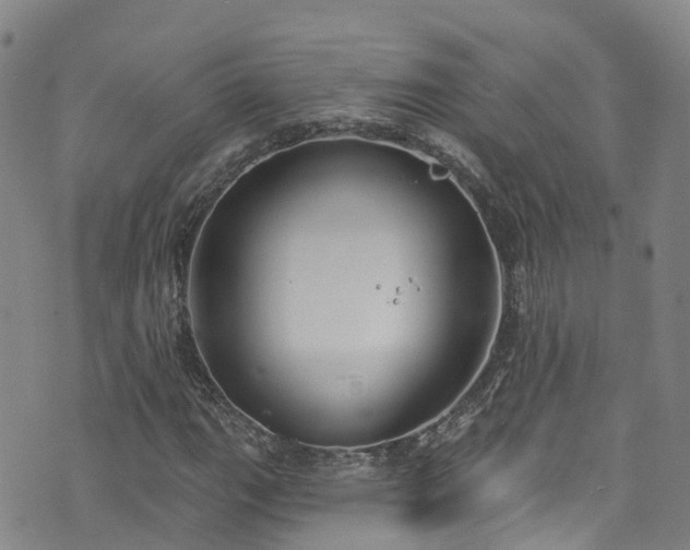 X0000074941111200609011108