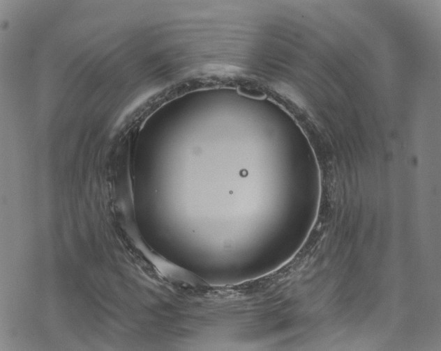 X0000074941112200609011108