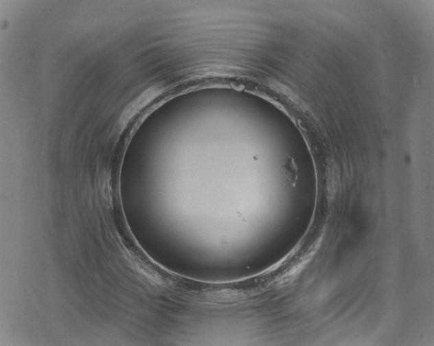 X0000074941113200609011108