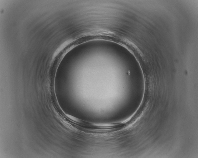 X0000074941114200609011108