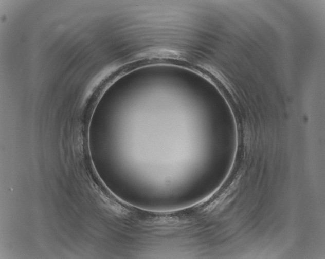 X0000074941115200609011109