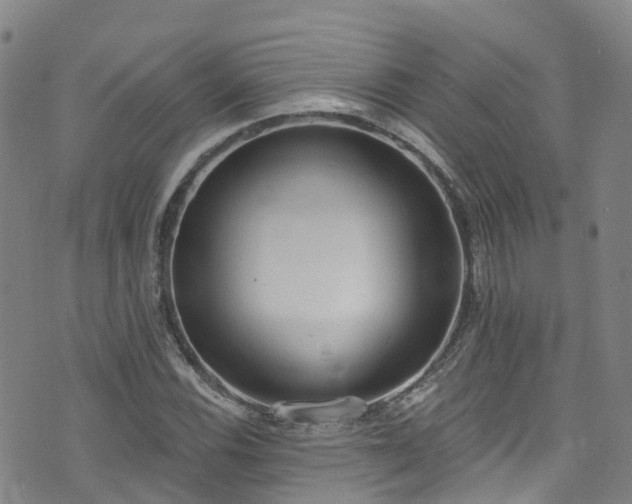 X0000074941116200609011109