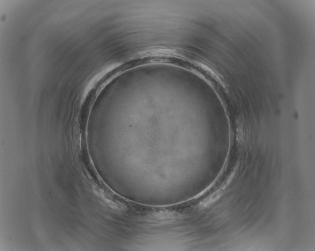 X0000074941117200609011109