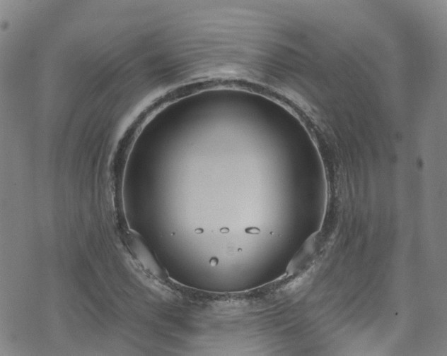 X0000074941118200609011109