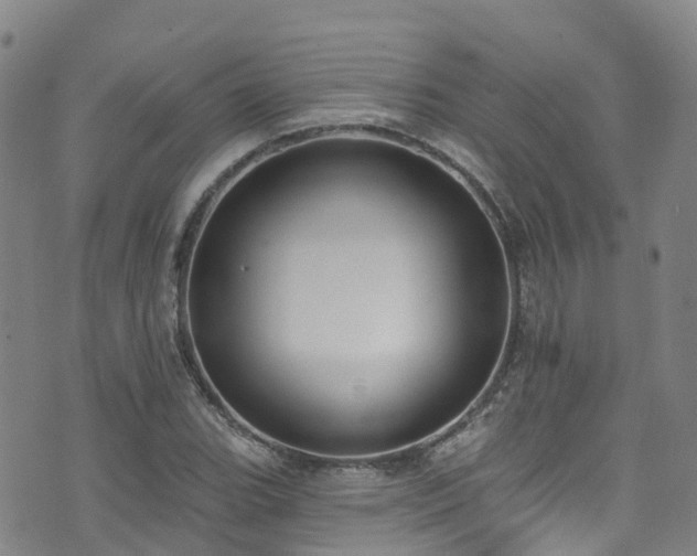 X0000074941119200609011109