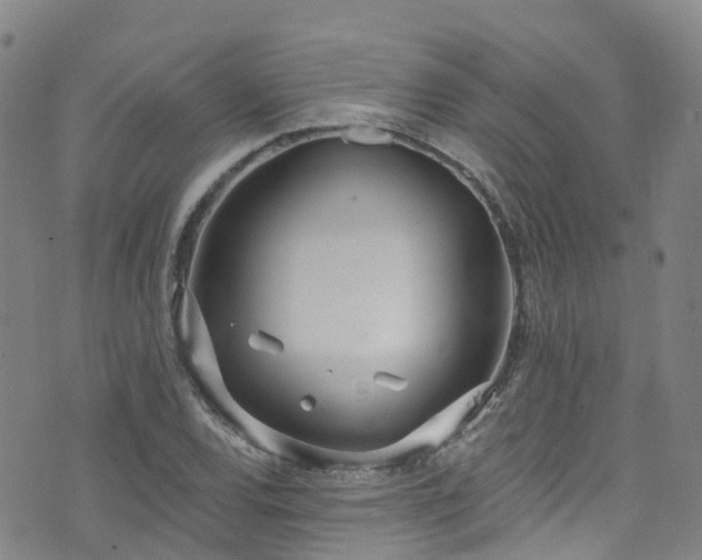 X0000074941120200609011109