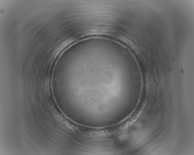 X0000074941121200609011109