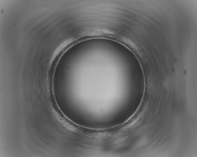 X0000074941122200609011109