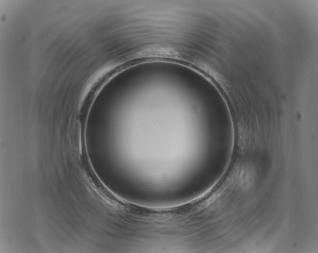 X0000074941123200609011109