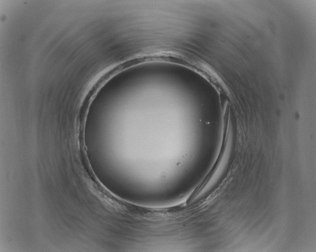 X0000074941124200609011109