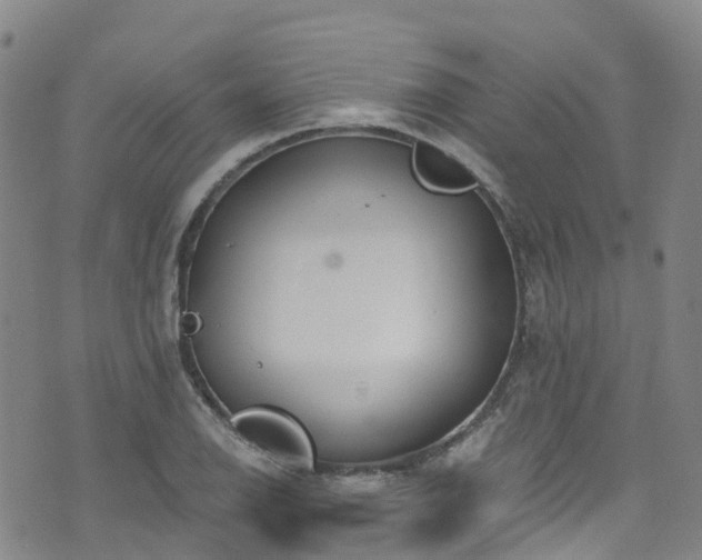 X0000074941126200609011109