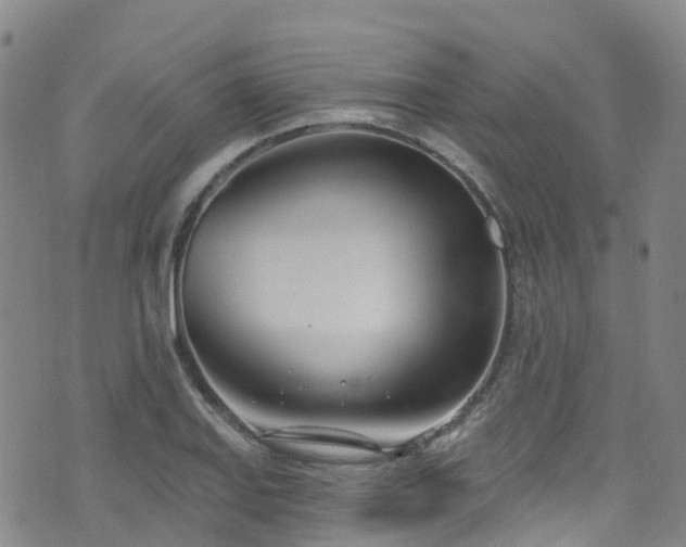 X0000074941127200609011109