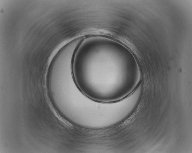 X0000074941128200609011109