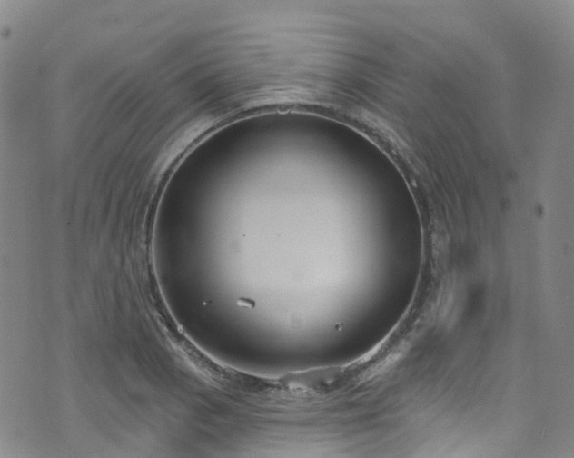 X0000074941129200609011109