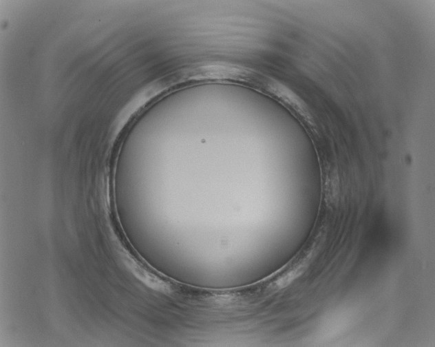 X0000074941130200609011109