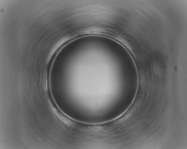 X0000074941131200609011109