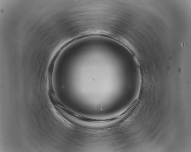 X0000074941132200609011109