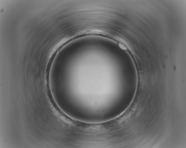 X0000074941133200609011109