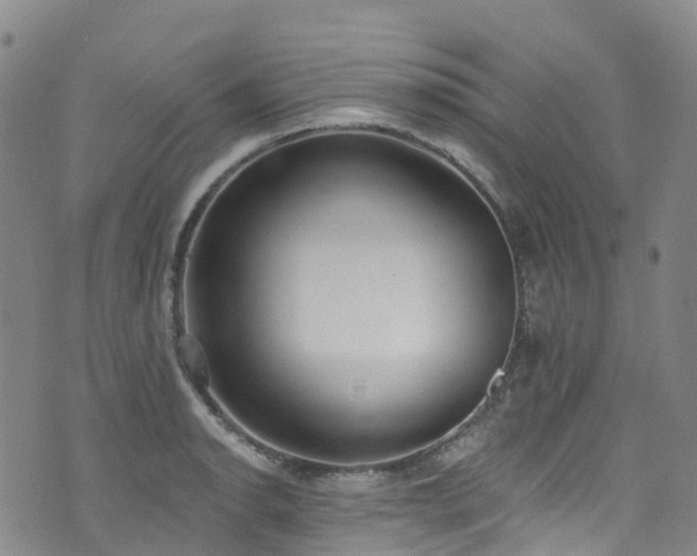 X0000074941134200609011109