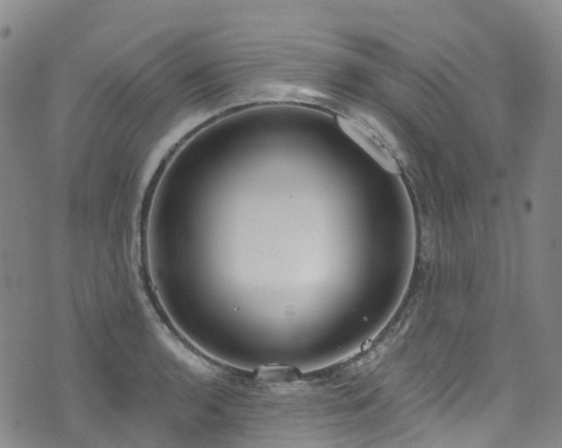 X0000074941136200609011109