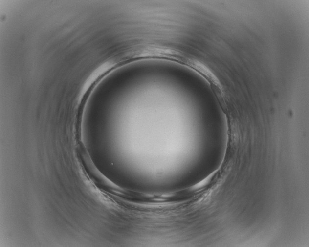 X0000074941138200609011109