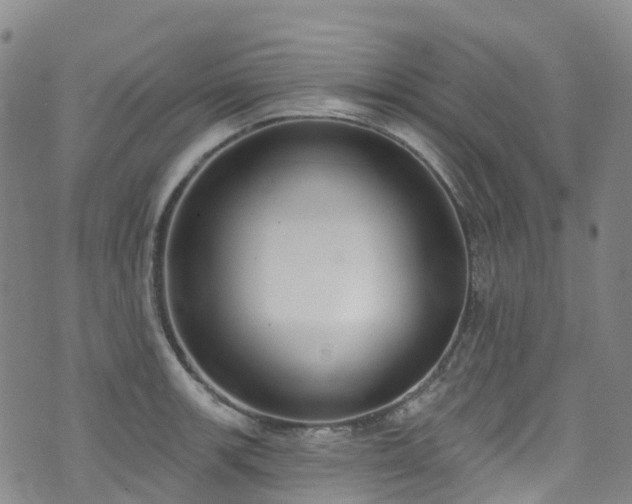 X0000074941139200609011109