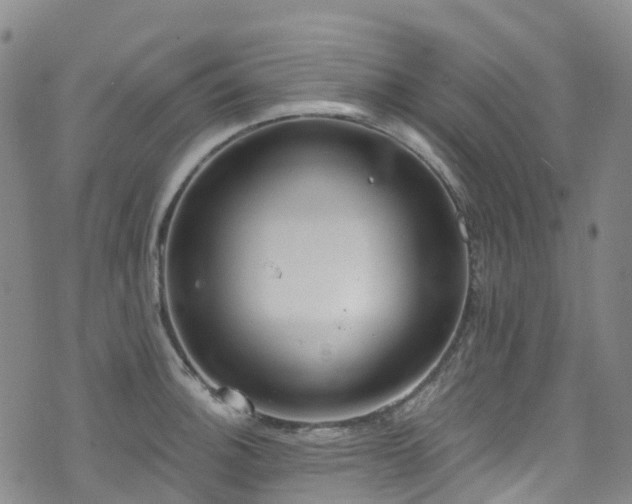 X0000074941140200609011109