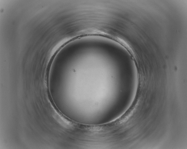 X0000074941141200609011109