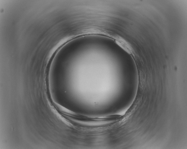 X0000074941142200609011109