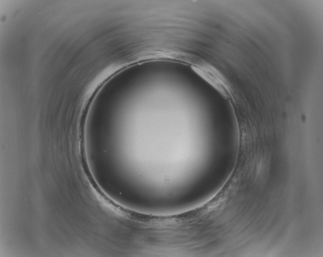 X0000074941143200609011109