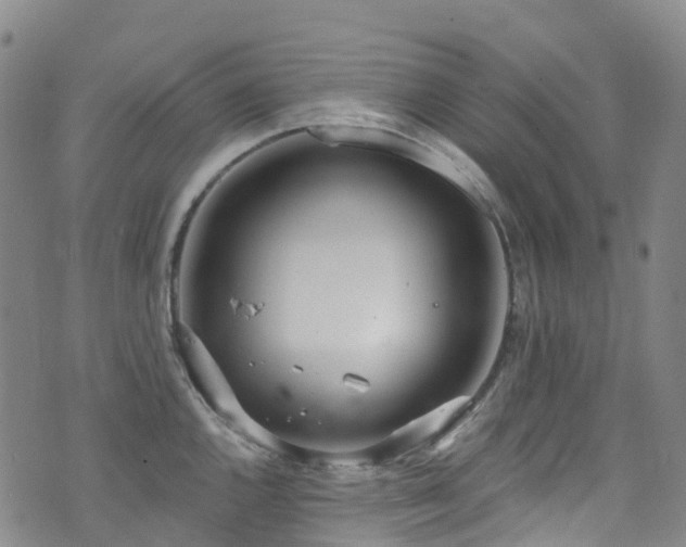 X0000074941144200609011109