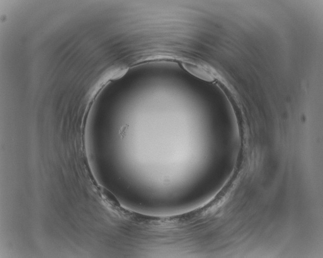 X0000074941145200609011109