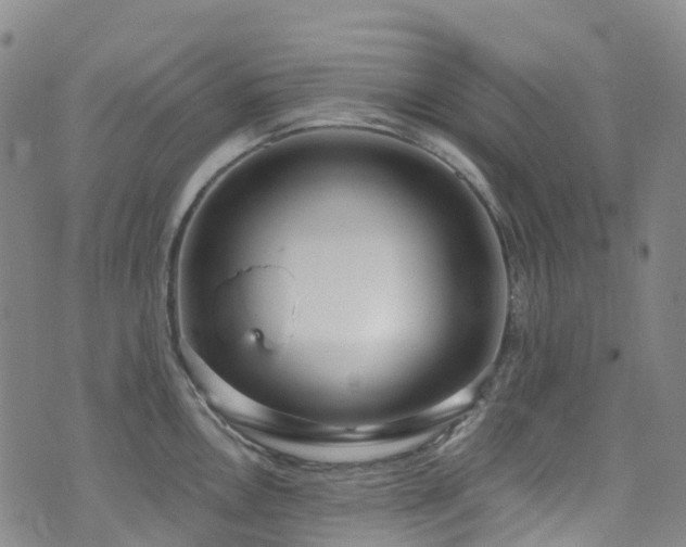 X0000074941146200609011109