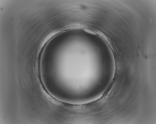 X0000074941147200609011109