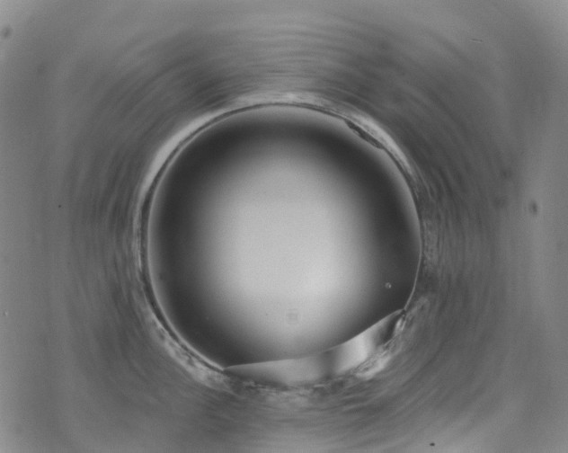 X0000074941148200609011109