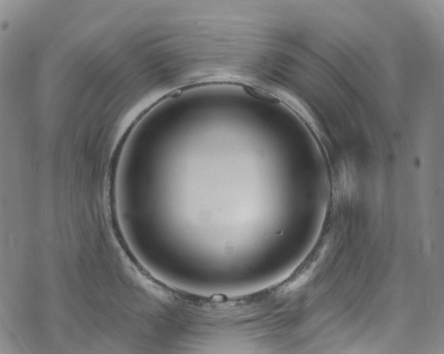 X0000074941149200609011109