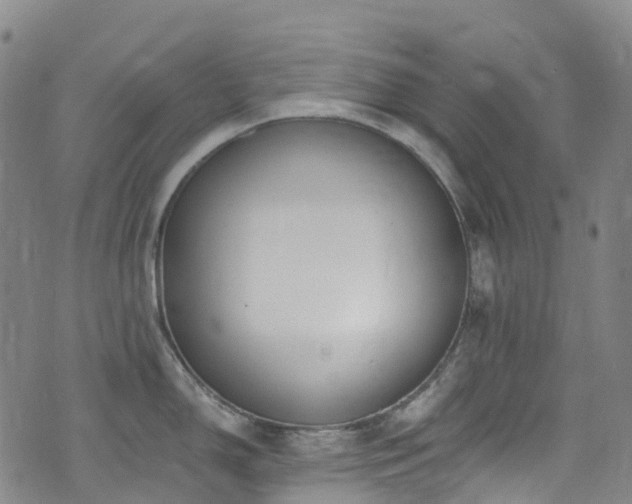 X0000074941150200609011109